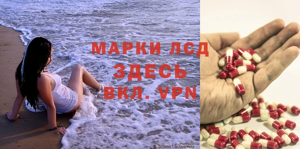 шишки Аркадак