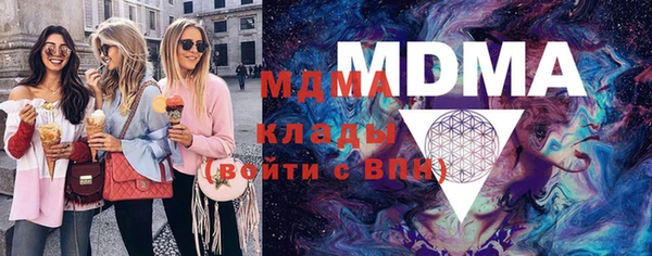 шишки Аркадак