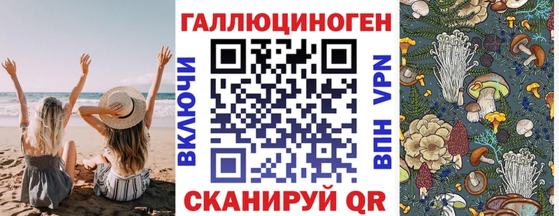 mega рабочий сайт  Грайворон  Галлюциногенные грибы прущие грибы  купить закладку 