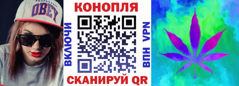 Каннабис OG Kush  Грайворон 